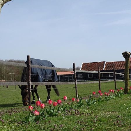De Tulp Bed & Breakfast Noordgouwe Eksteriør bilde