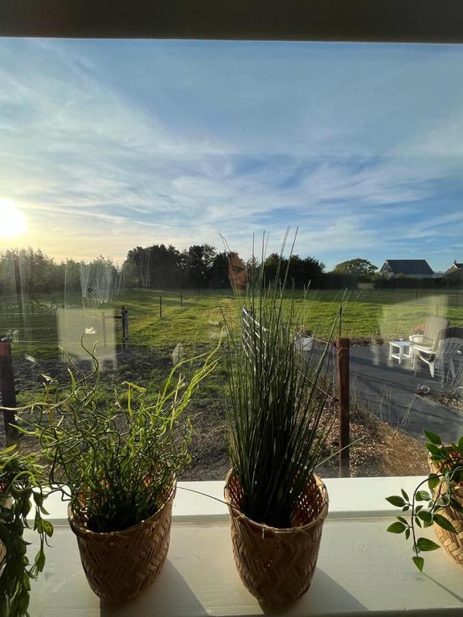 De Tulp Bed & Breakfast Noordgouwe Eksteriør bilde