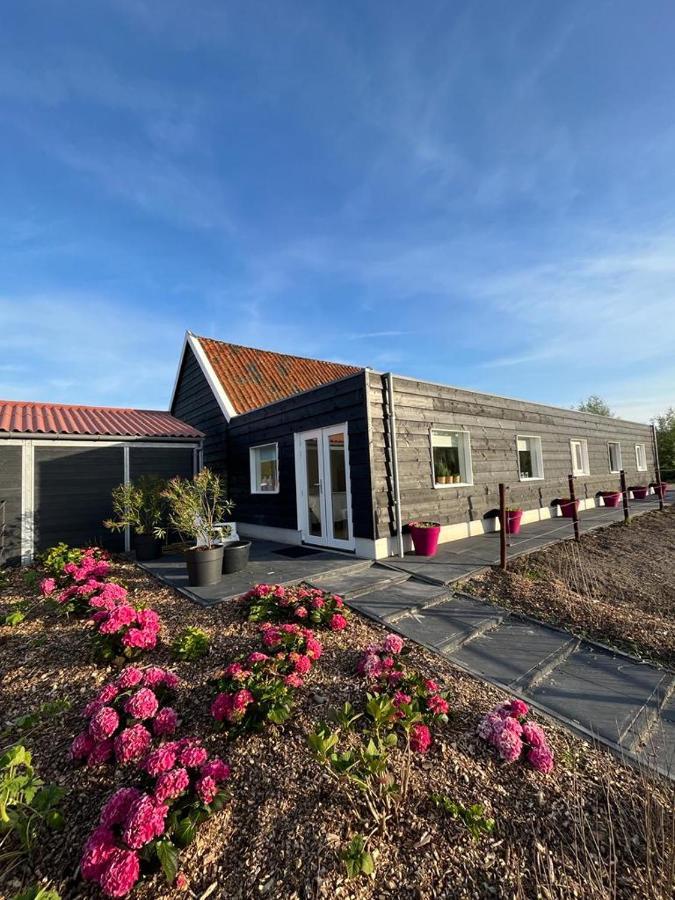 De Tulp Bed & Breakfast Noordgouwe Eksteriør bilde