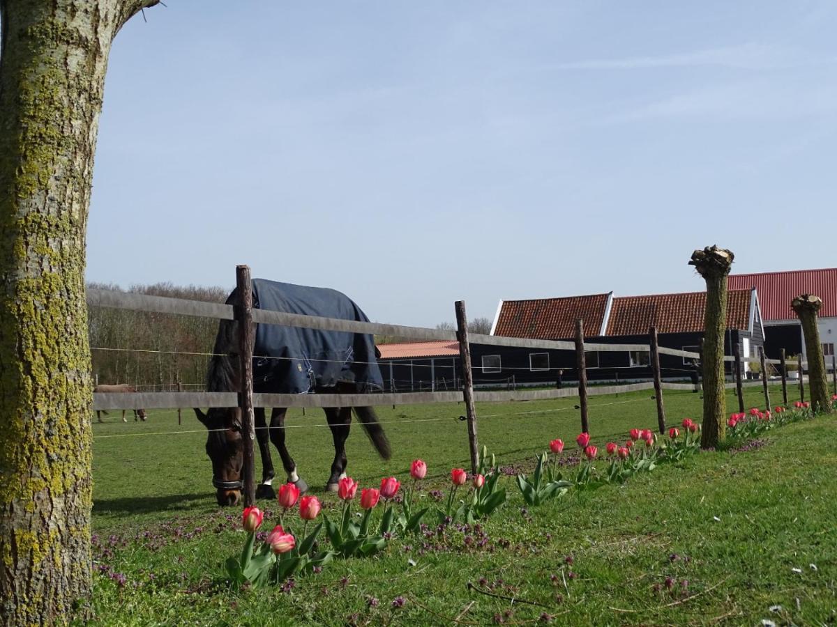 De Tulp Bed & Breakfast Noordgouwe Eksteriør bilde