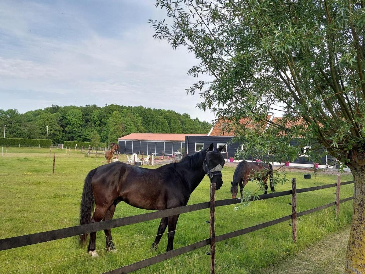 De Tulp Bed & Breakfast Noordgouwe Eksteriør bilde