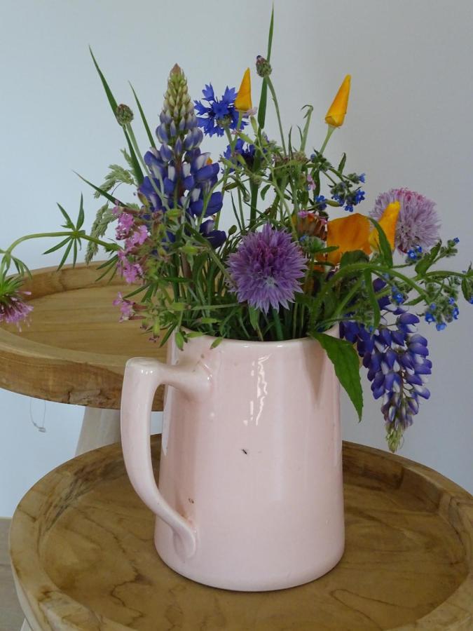 De Tulp Bed & Breakfast Noordgouwe Eksteriør bilde