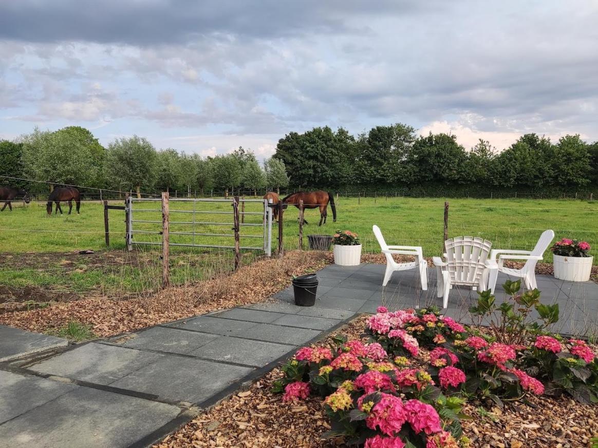 De Tulp Bed & Breakfast Noordgouwe Eksteriør bilde