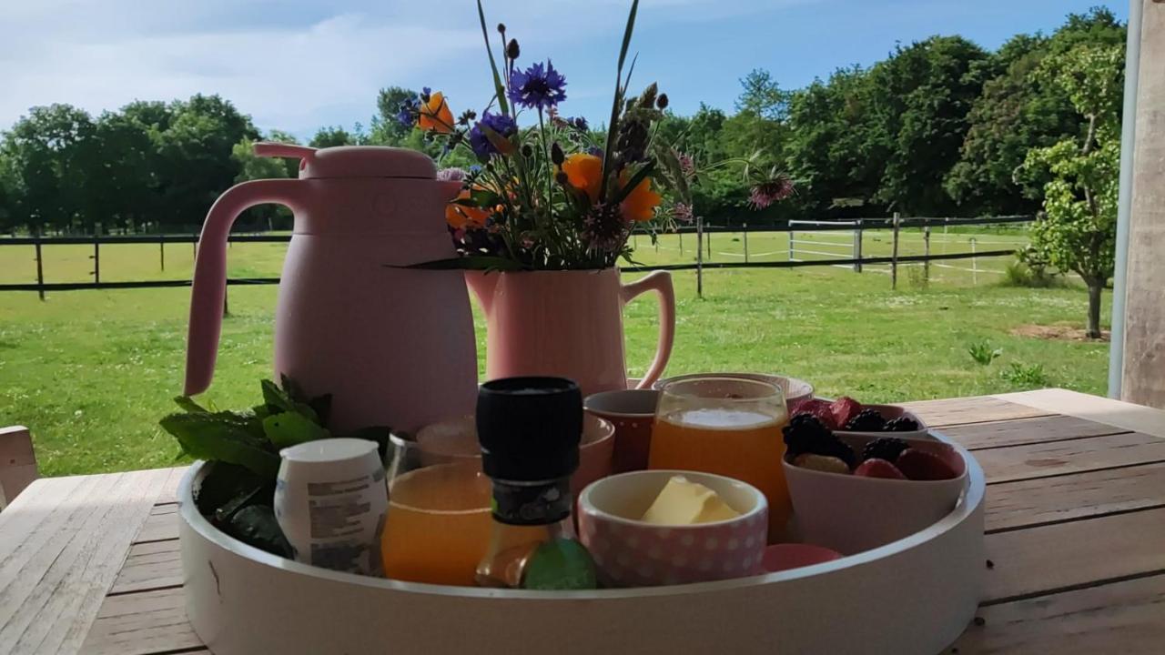 De Tulp Bed & Breakfast Noordgouwe Eksteriør bilde