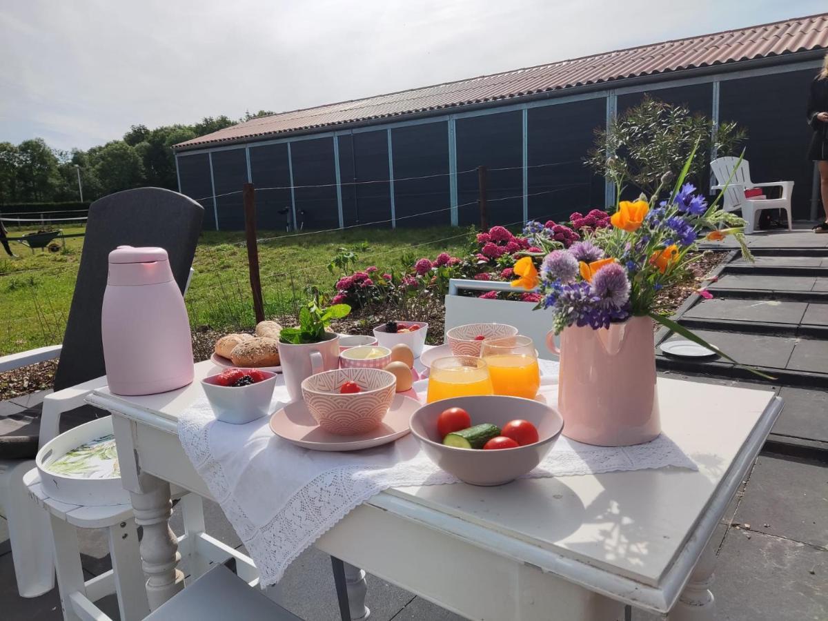 De Tulp Bed & Breakfast Noordgouwe Eksteriør bilde