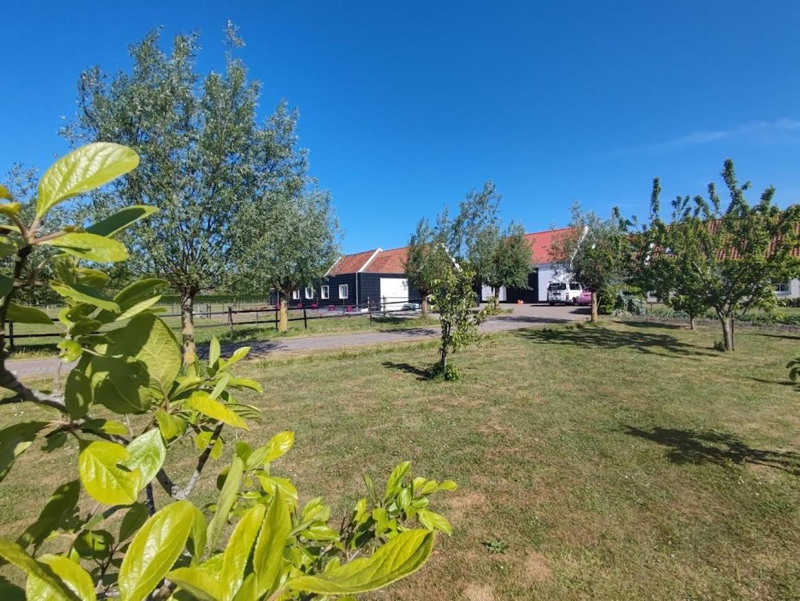 De Tulp Bed & Breakfast Noordgouwe Eksteriør bilde