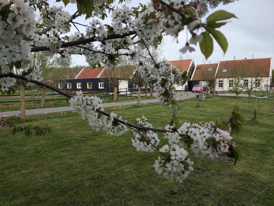 De Tulp Bed & Breakfast Noordgouwe Eksteriør bilde
